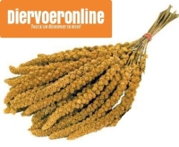 Trosgierst chinees doos ca 15 kg