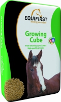 Equifirst growing cube  20 kg