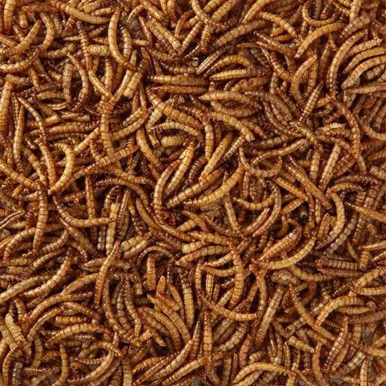 Gedroogde Meelwormen 500 gr