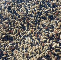 Garvo Kanariezaad 20 kg