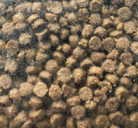 Egelbrokjes  (kom je bij me eten) 500 gr